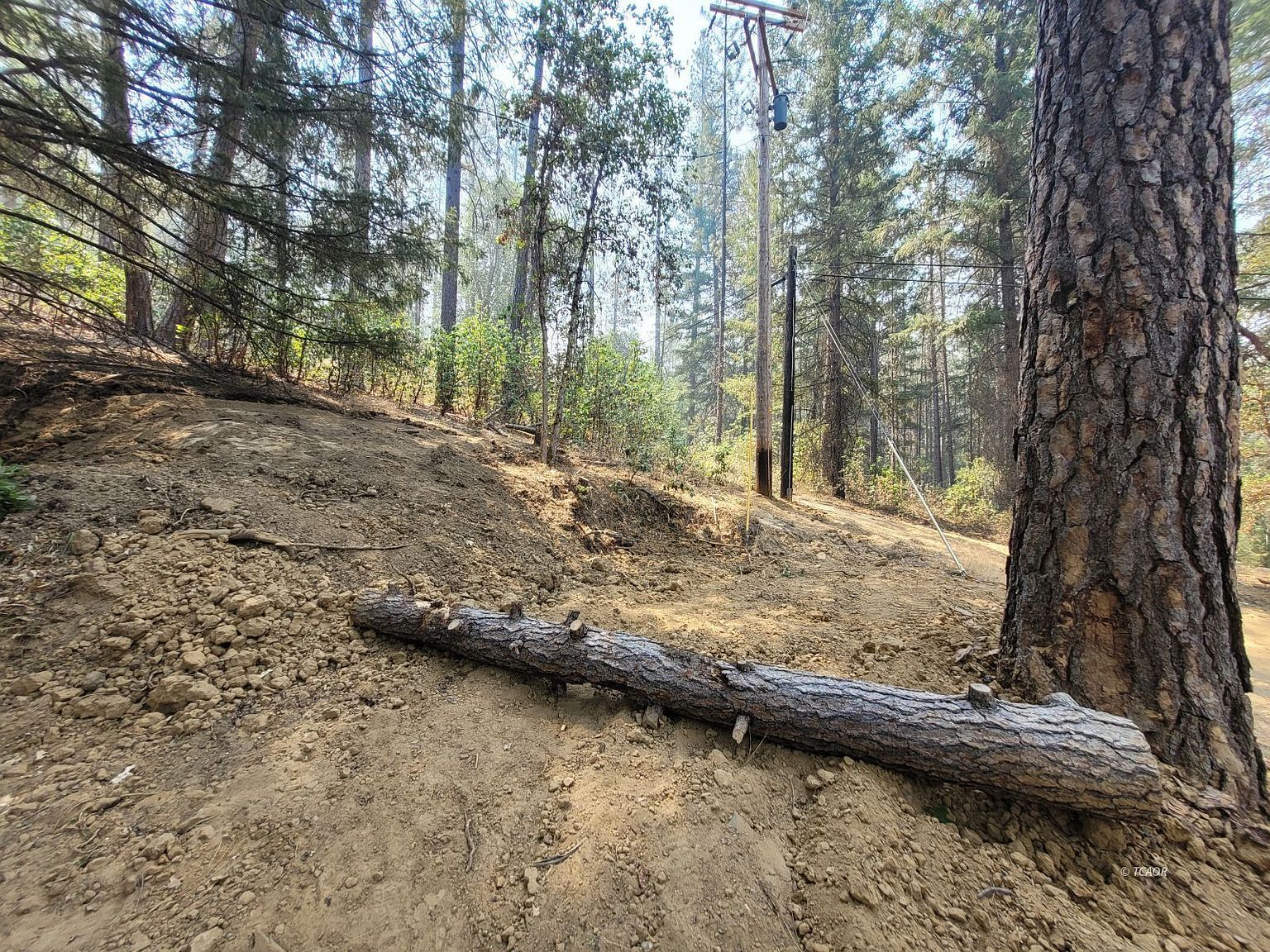 3221 Goose Ranch Rd Lewiston, CA 96052 - Thumbnail 3