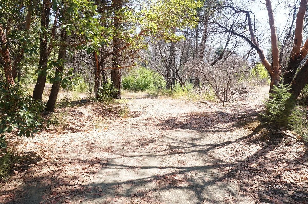 250 Bear Springs Rd Junction City, CA 96048 - Thumbnail 3