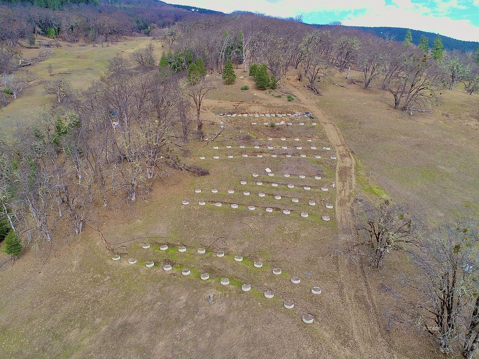 1786 County Line Creek Rd Bridgeville, CA 95526 - Thumbnail 3