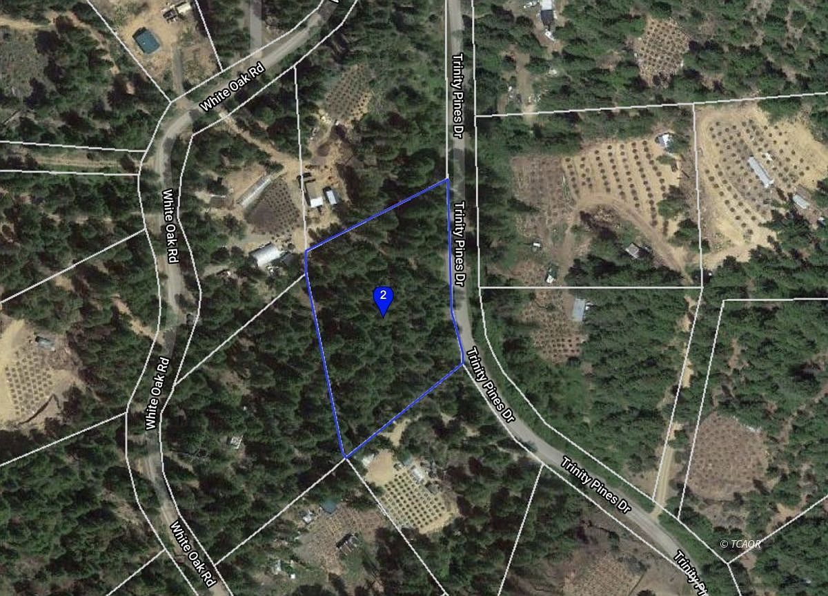 851 Trinity Pines Dr Hayfork, CA 96041 - Thumbnail 3