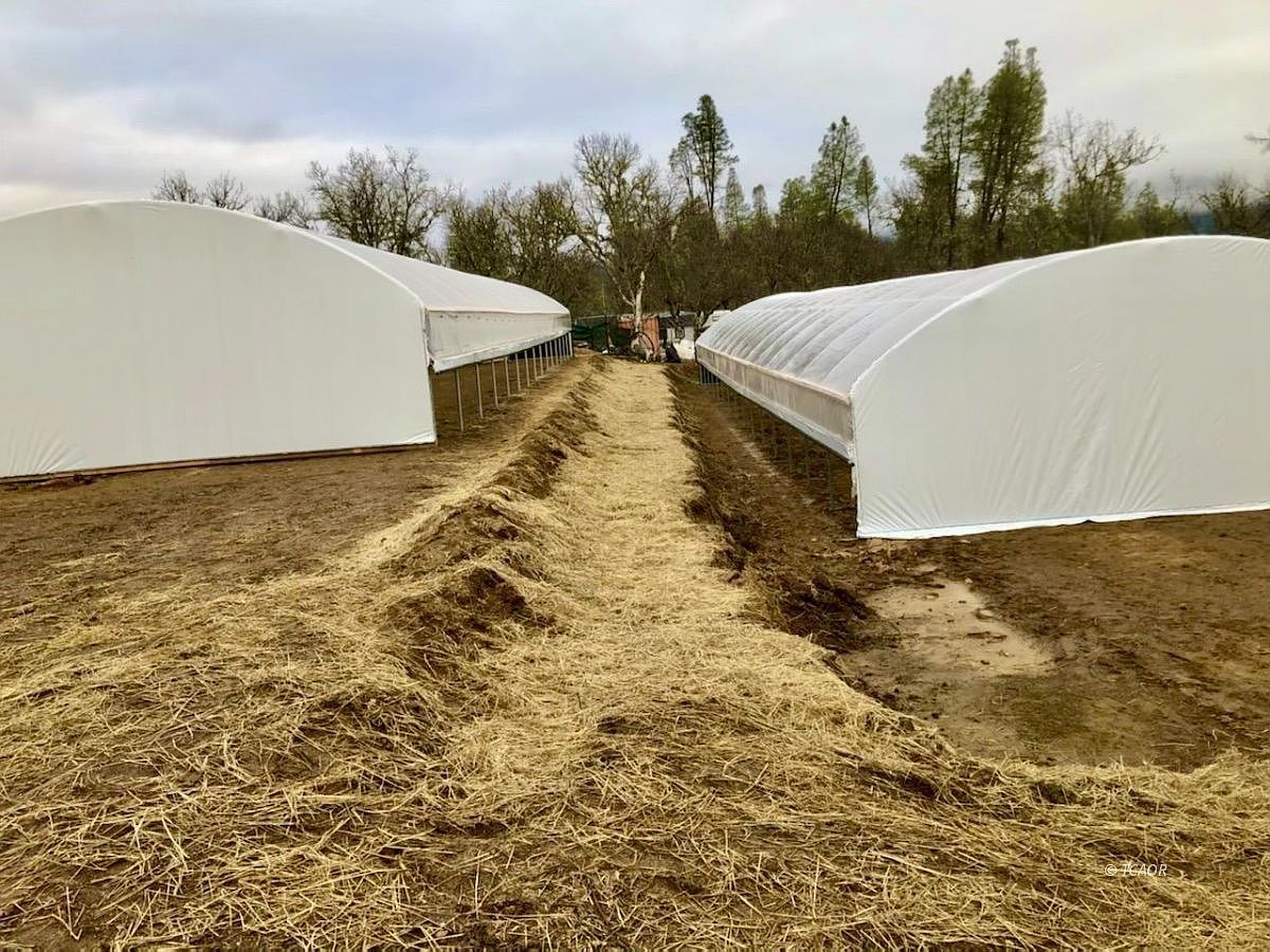 297 Frog Pond Ln Hayfork, CA 96041 - Thumbnail 3