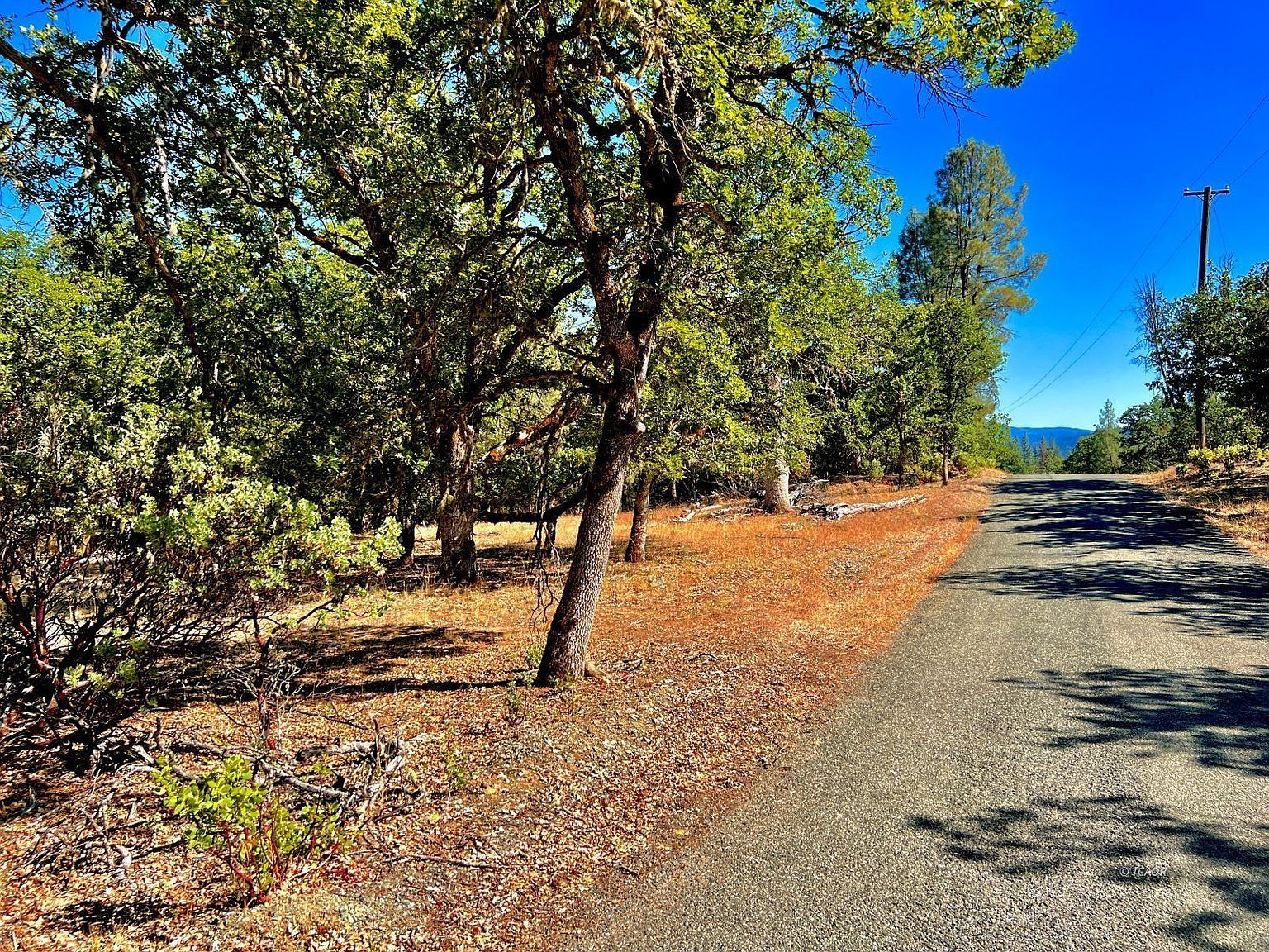 111 Oliva Dr Hayfork, CA 96041 - Thumbnail 3