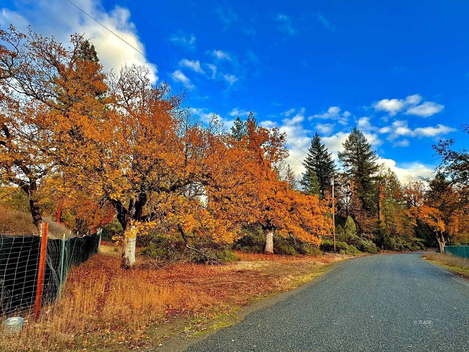 231 Oliva Dr Hayfork, CA 96041 - Thumbnail 3