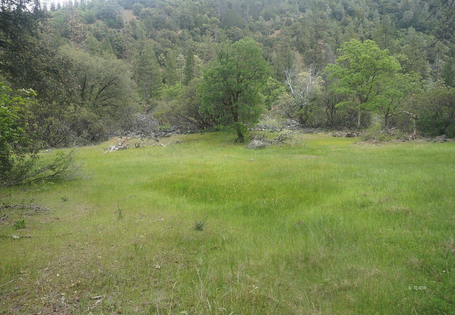 6269 Dutch Creek Rd Junction City, CA 96048 - Thumbnail 3