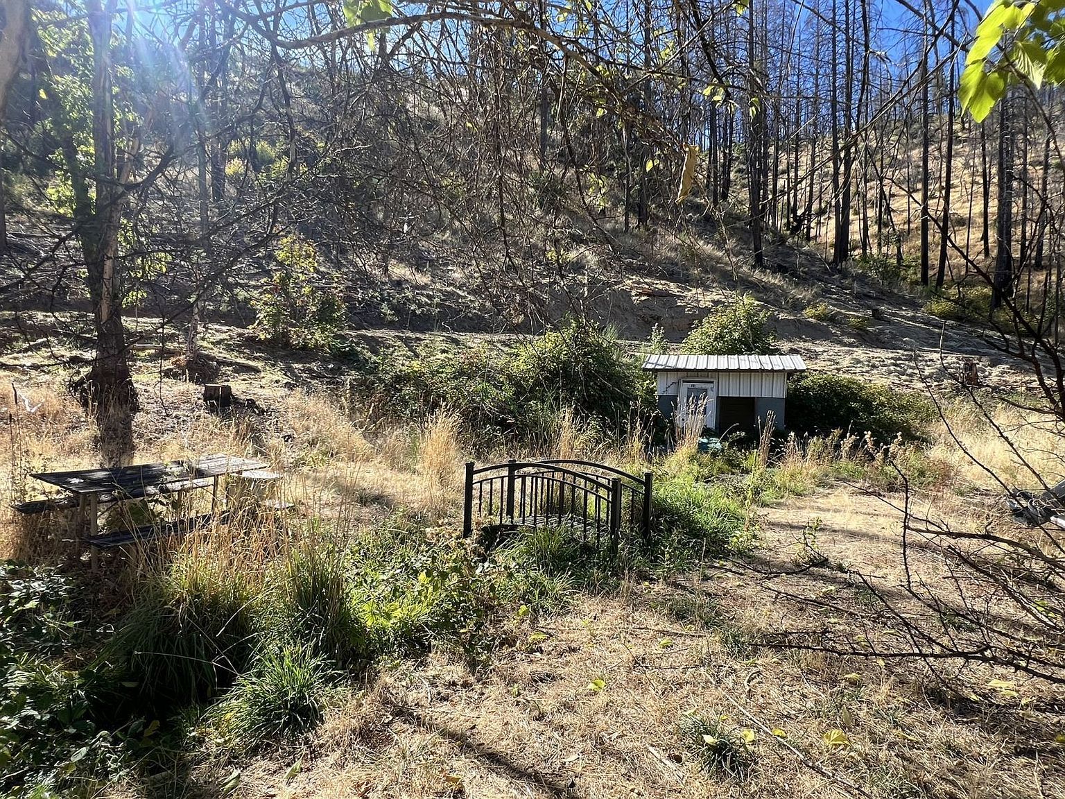 518 Dutch Creek Rd Junction City, CA 96048 - Thumbnail 3