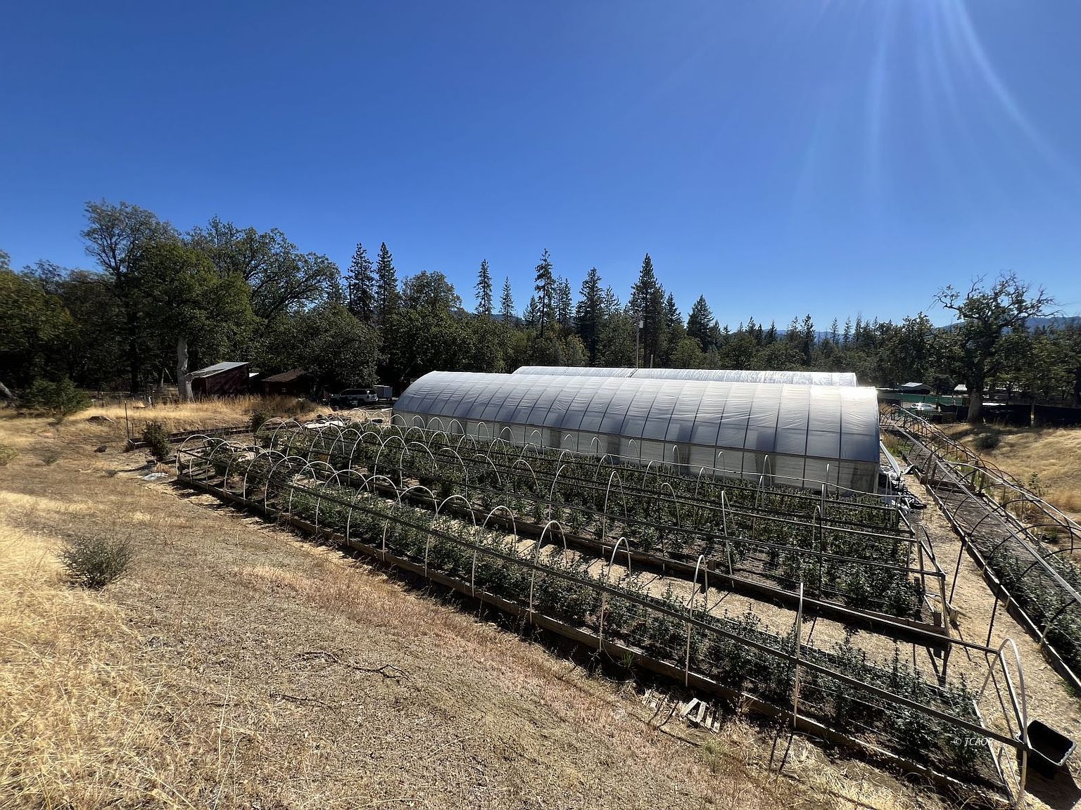 181 Oliva Dr Hayfork, CA 96041 - Thumbnail 3