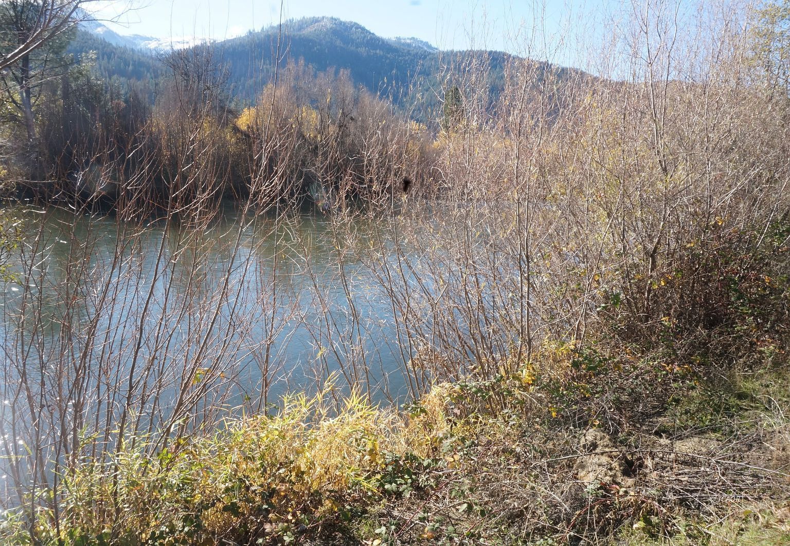 50 Acorn Ln Junction City, CA 96048 - Thumbnail 3