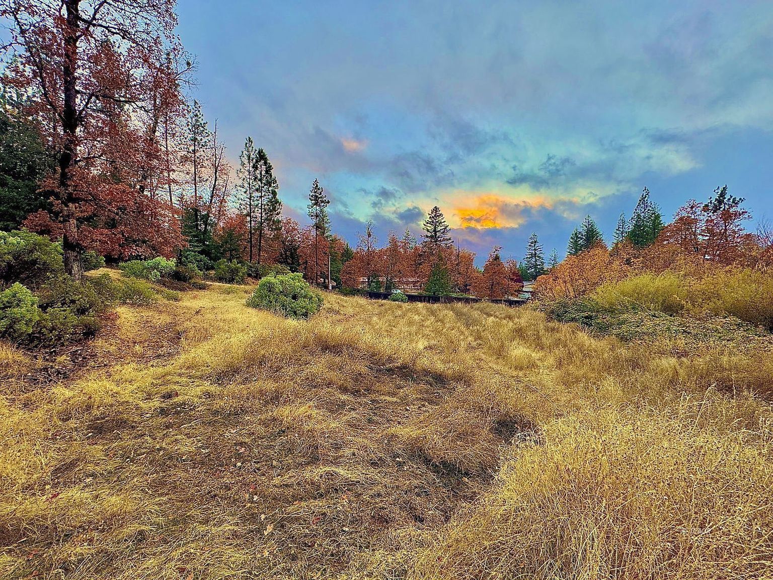 310 Reservoir Rd Hayfork, CA 96041 - Thumbnail 3