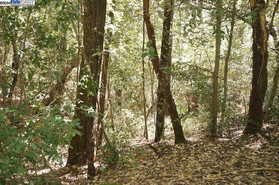 800 Suzy Q Rd Salyer, CA 95563 - Thumbnail 3