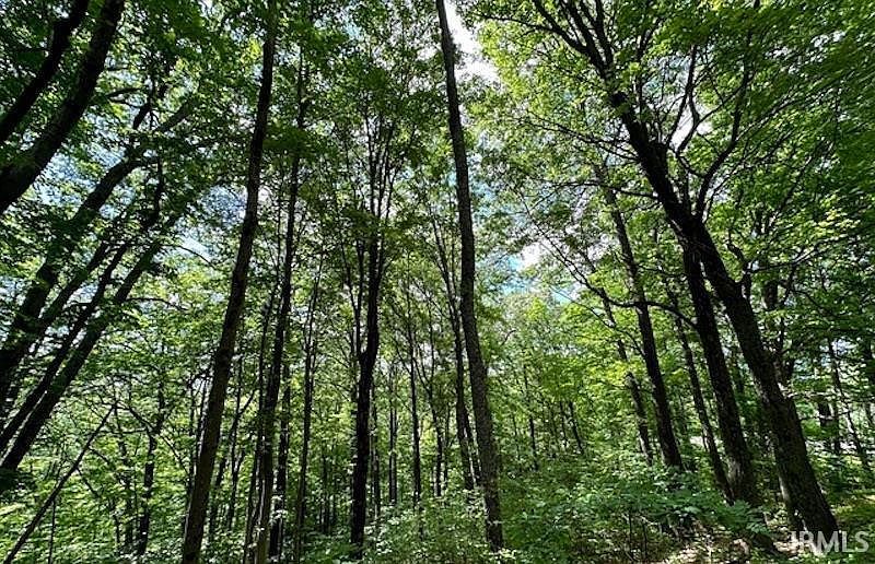 0 Dynasty Ridge Rd Martinsville, IN 46151 - Thumbnail 3