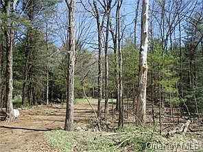 742 Peenpack Trl Sparrowbush, NY 12780  | Land/Lot