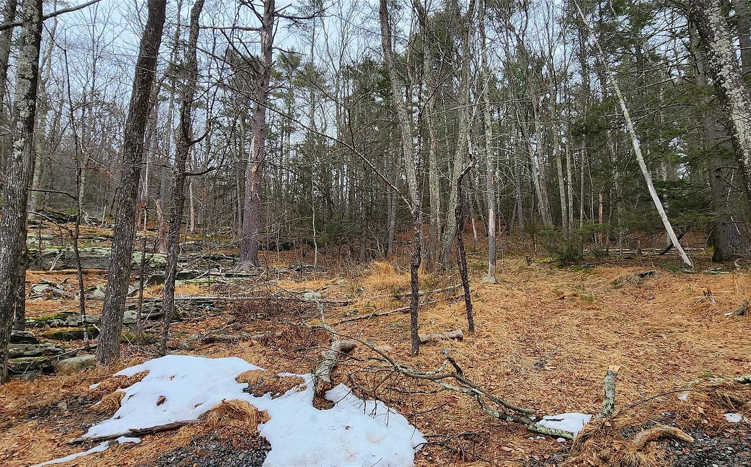 Deer Hill Rd Wurtsboro, NY 12790 - Thumbnail 3