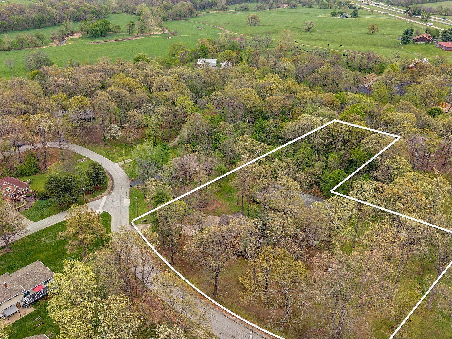 103 R J Ln Mount Vernon, MO 65712 - Thumbnail 3