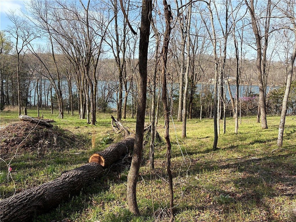 TRACT 61 Horseshoe Ln Rogers, AR 72756 - Thumbnail 3