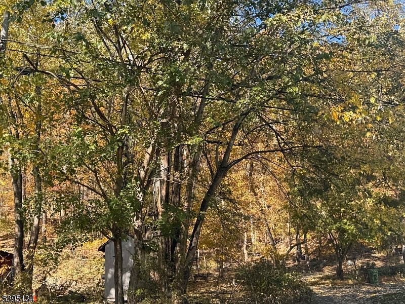 3 Rock St N Belvidere, NJ 07823 - Thumbnail 3