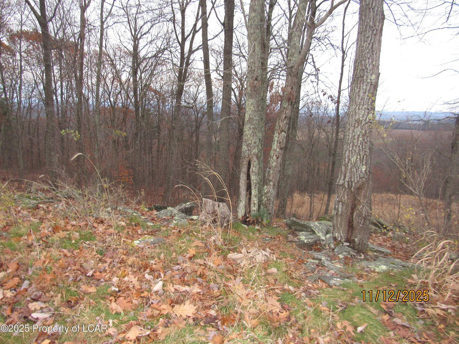 115 Manorview Dr Dallas, PA 18612 - Thumbnail 3