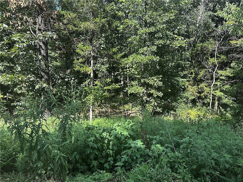 Allendale Dr #3 Bella Vista, AR 72714 - Thumbnail 3