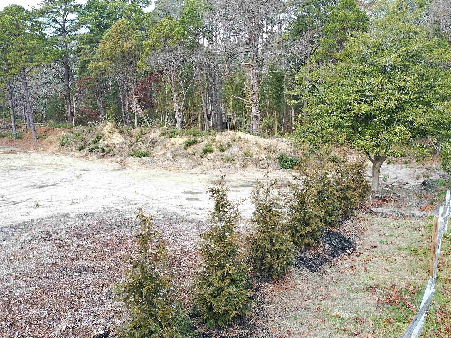 137 N Maple Ave Tuckerton, NJ 08087 - Thumbnail 3