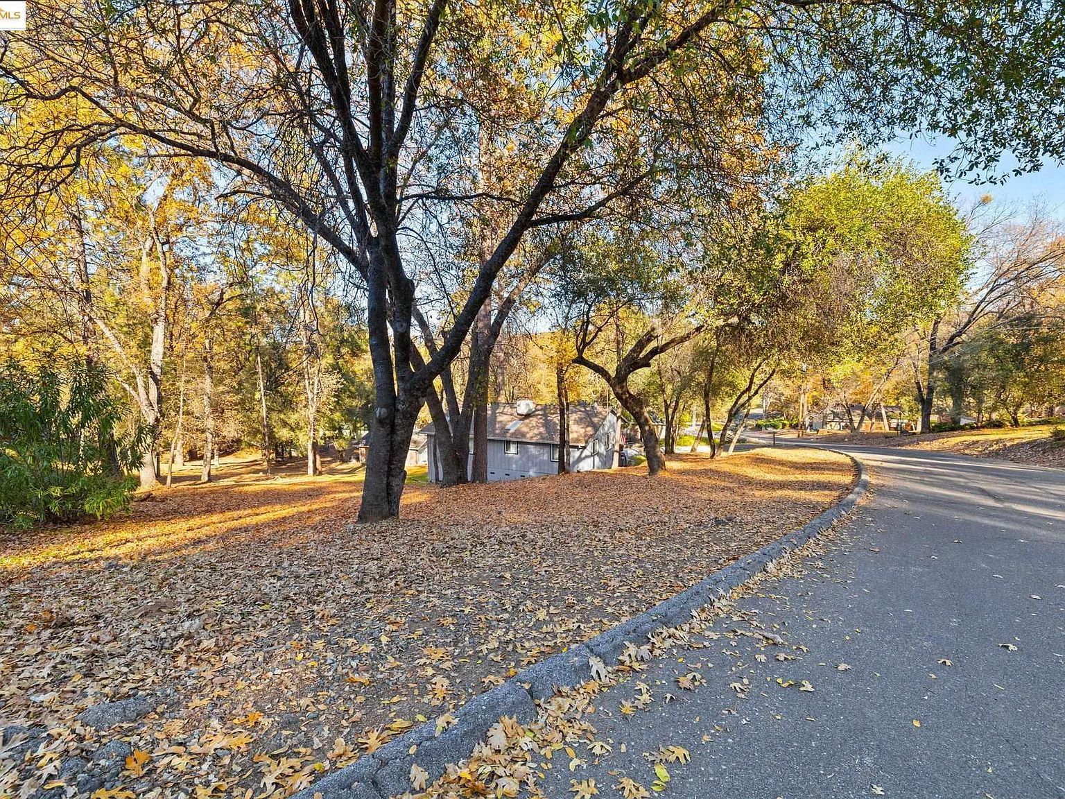 2/047 Gamble St Groveland, CA 95321 - Thumbnail 3