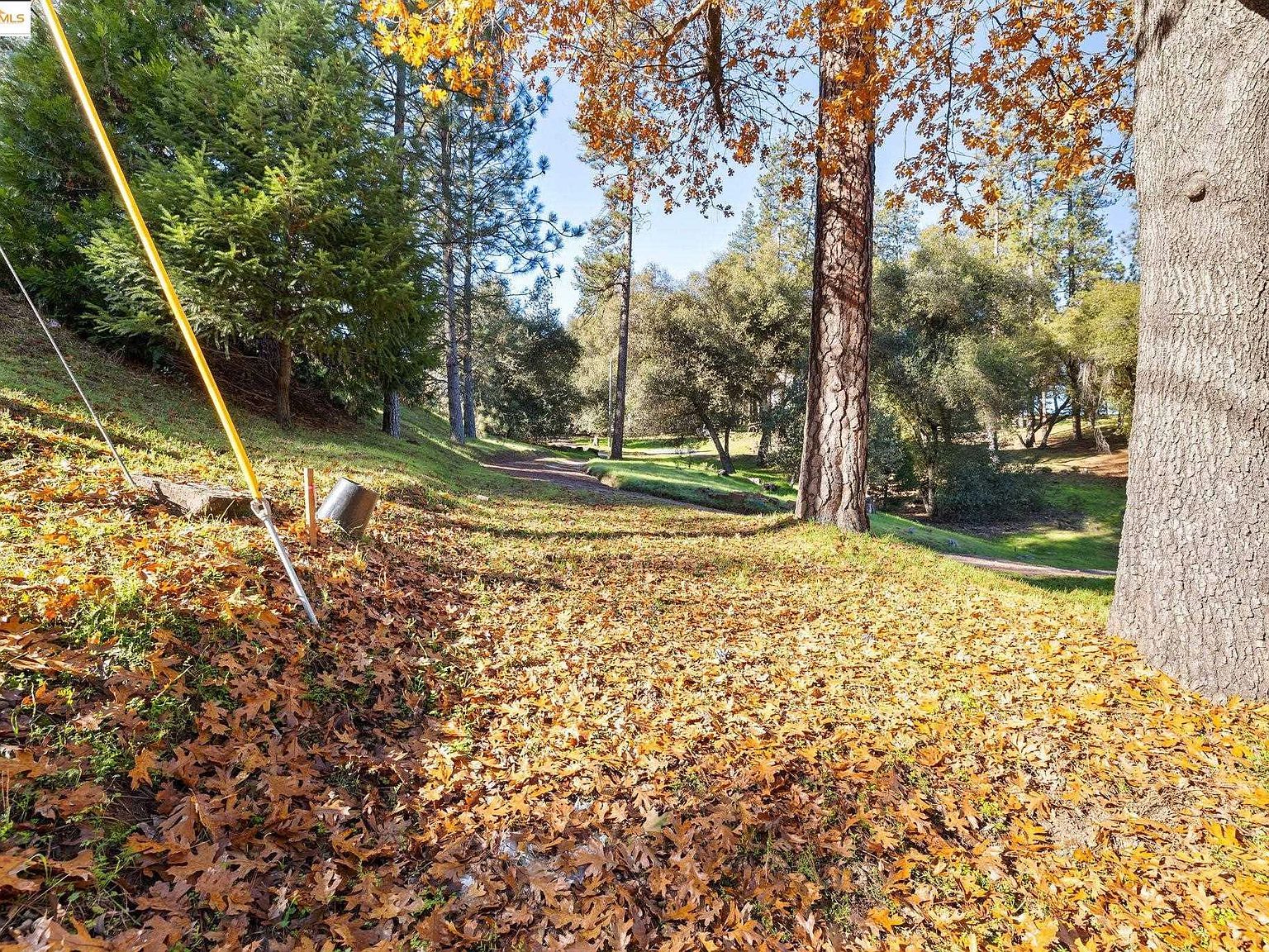 2-306 Ferretti Rd Groveland, CA 95321 - Thumbnail 3