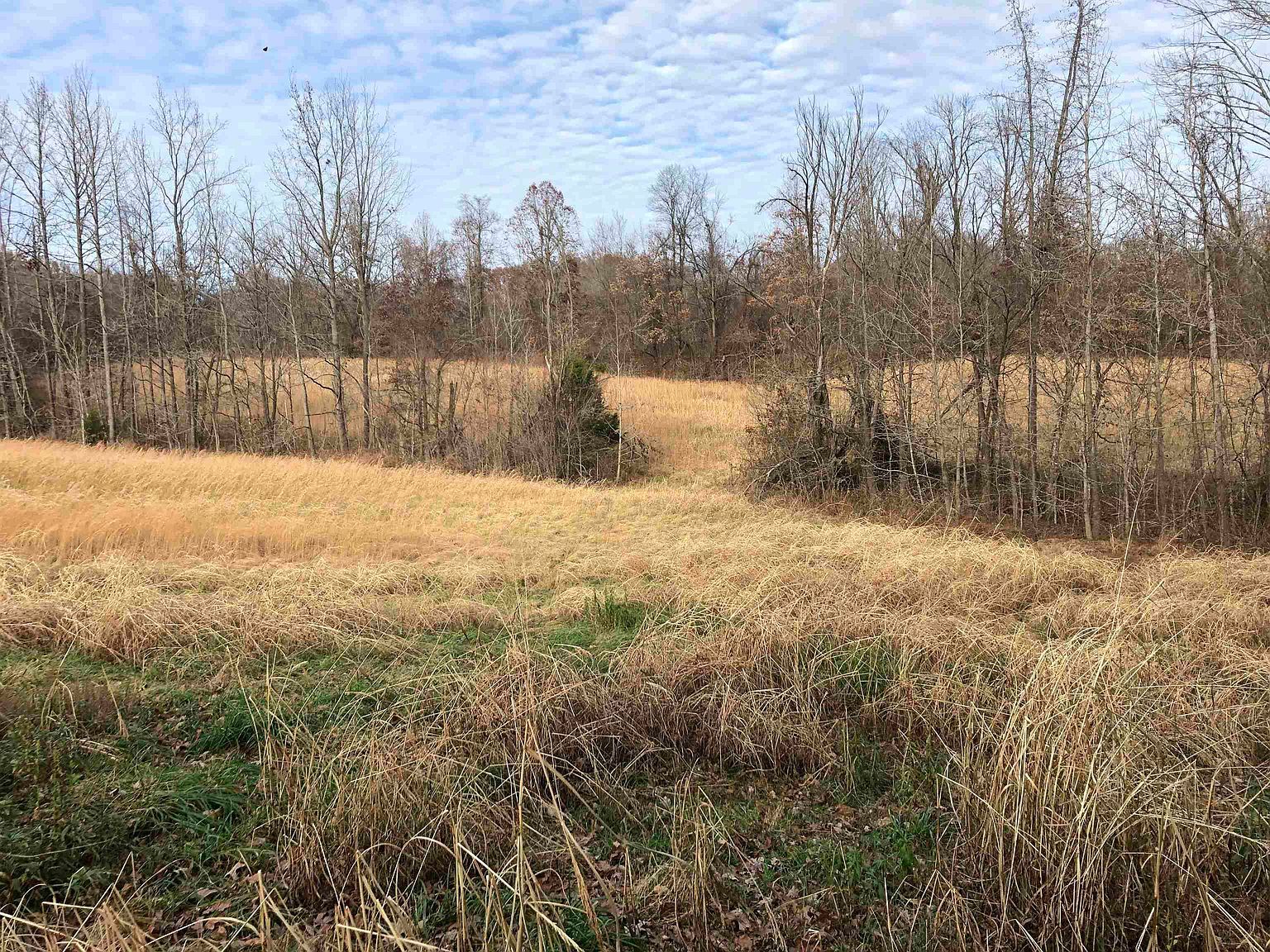 0 Elm Grove Rd Burlison, TN 38015 - Thumbnail 3