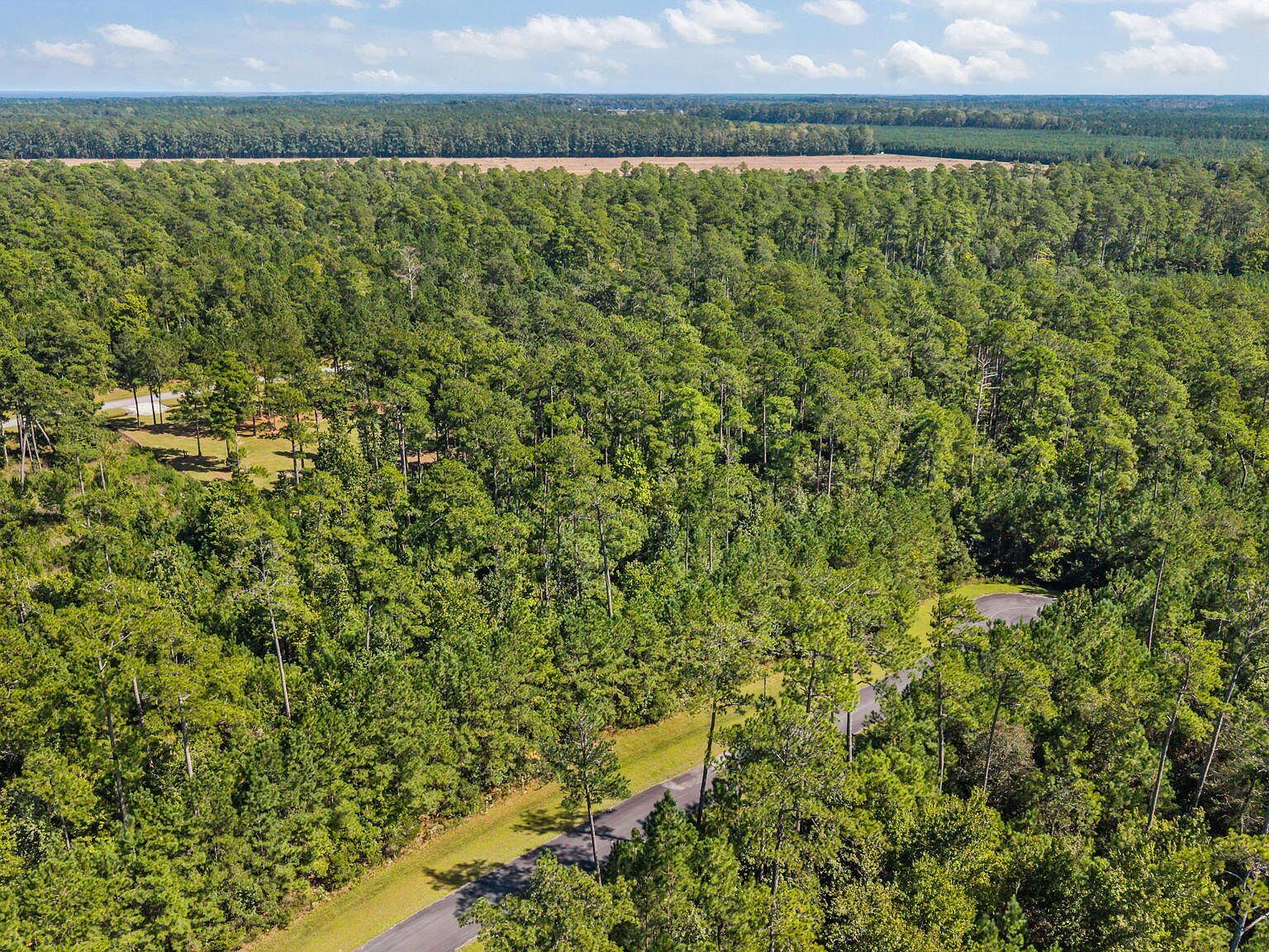 87 Mason Ln Merritt, NC 28556 - Thumbnail 3