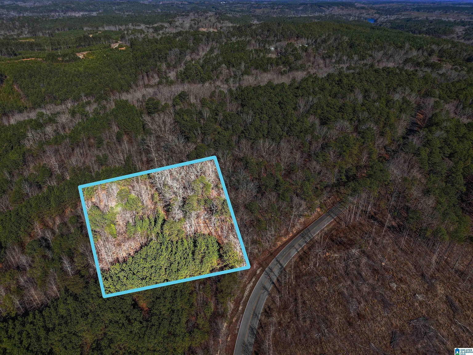 15065 Lock 17 Rd #1 Adger, AL 35006 - Thumbnail 3