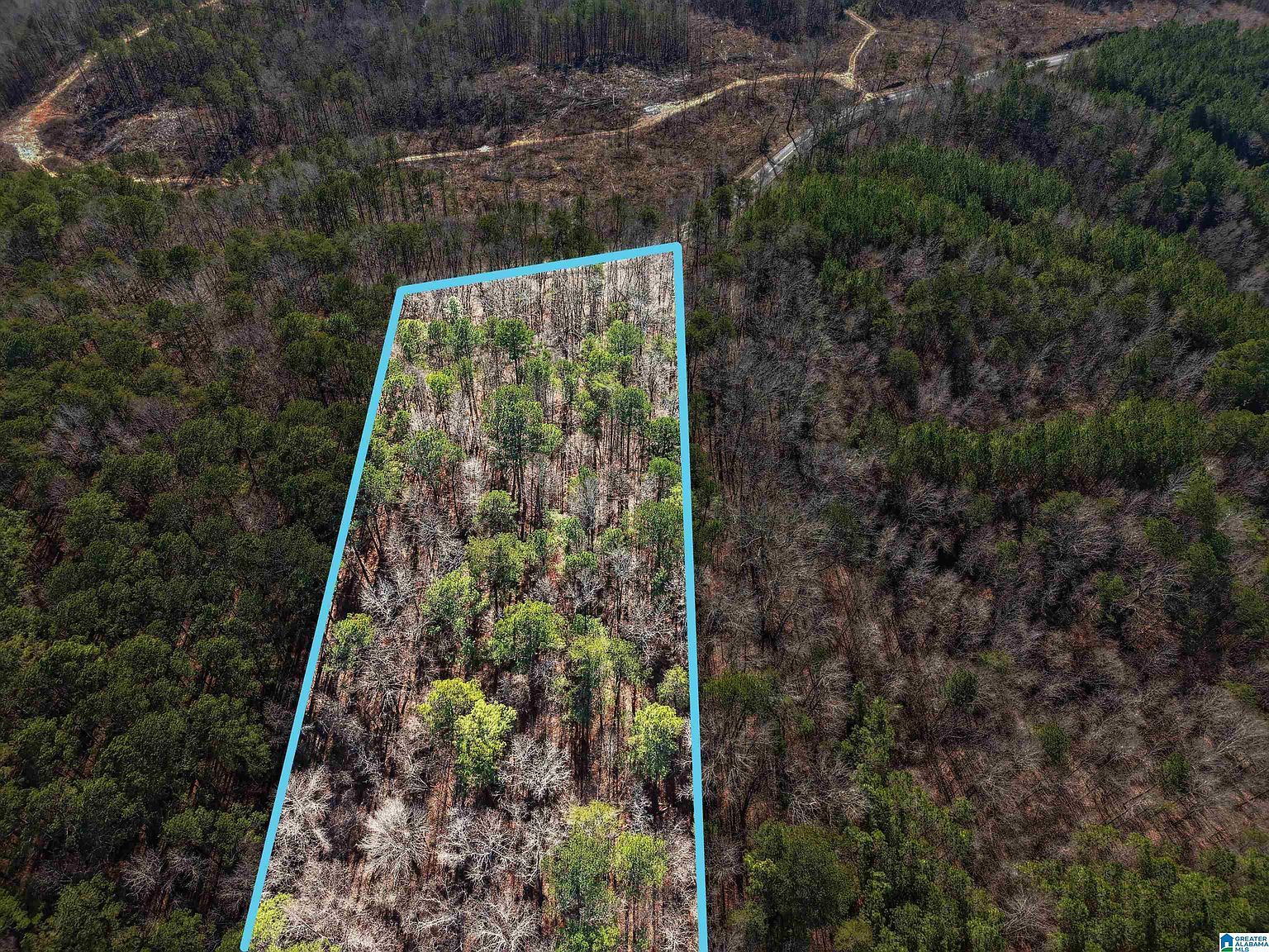 15045 Lock 17 Rd #1 Adger, AL 35006 - Thumbnail 3