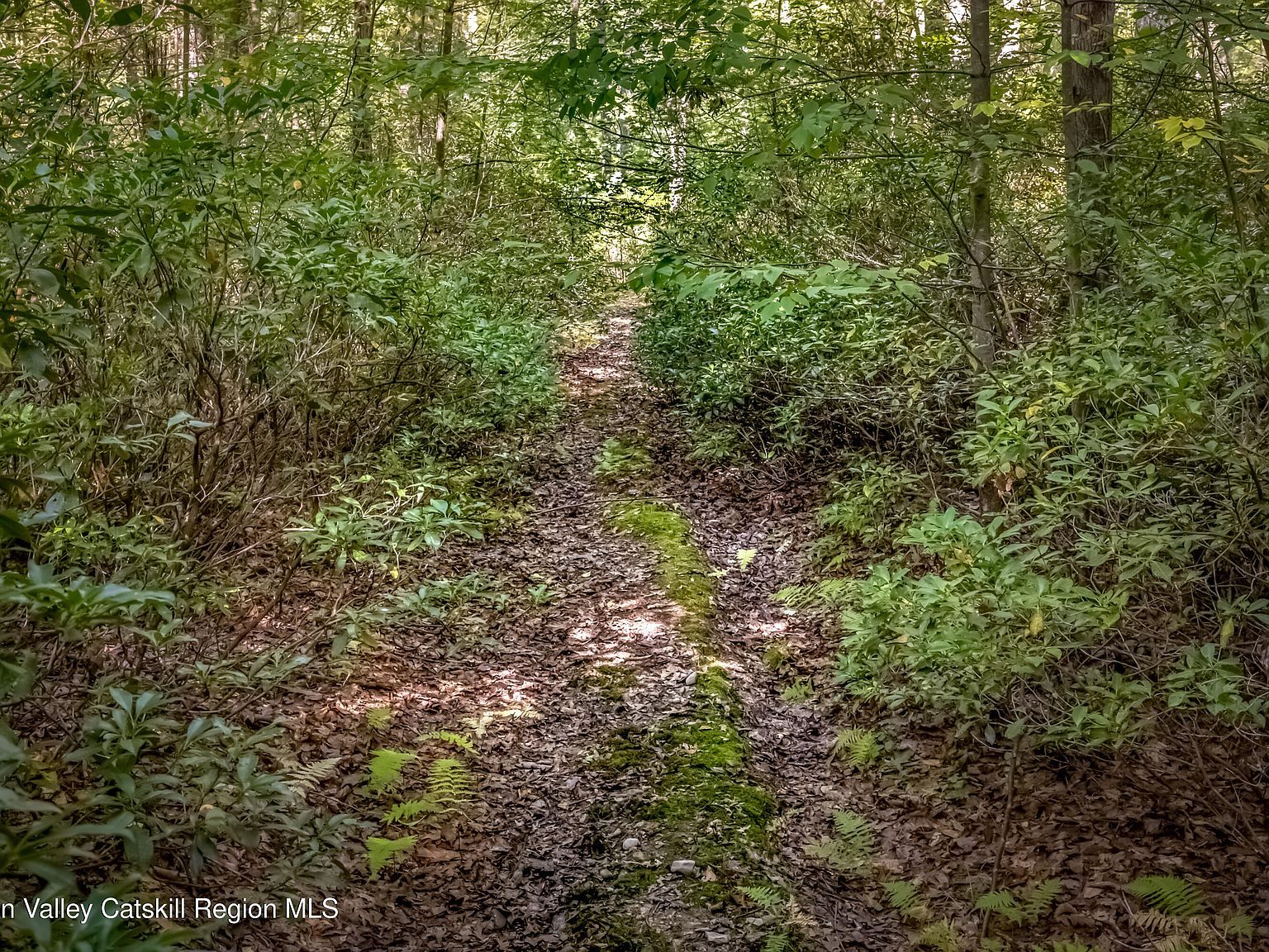 187 Rocky Mountain Rd Kerhonkson, NY 12446 - Thumbnail 3