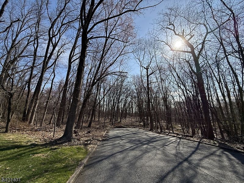 10 Deerfield Dr Woodcliff Lake, NJ 07677 - Thumbnail 3