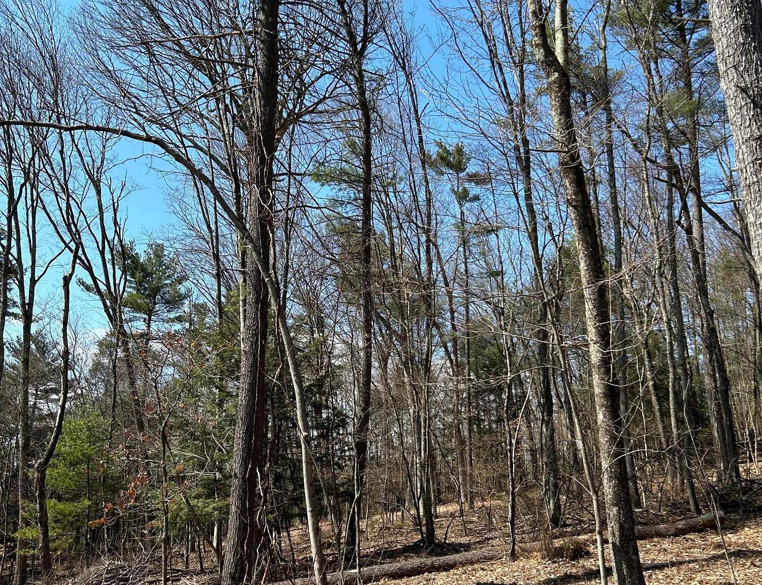 Tallman Hollow Rd LOT 2 Montoursville, PA 17754 - Thumbnail 3