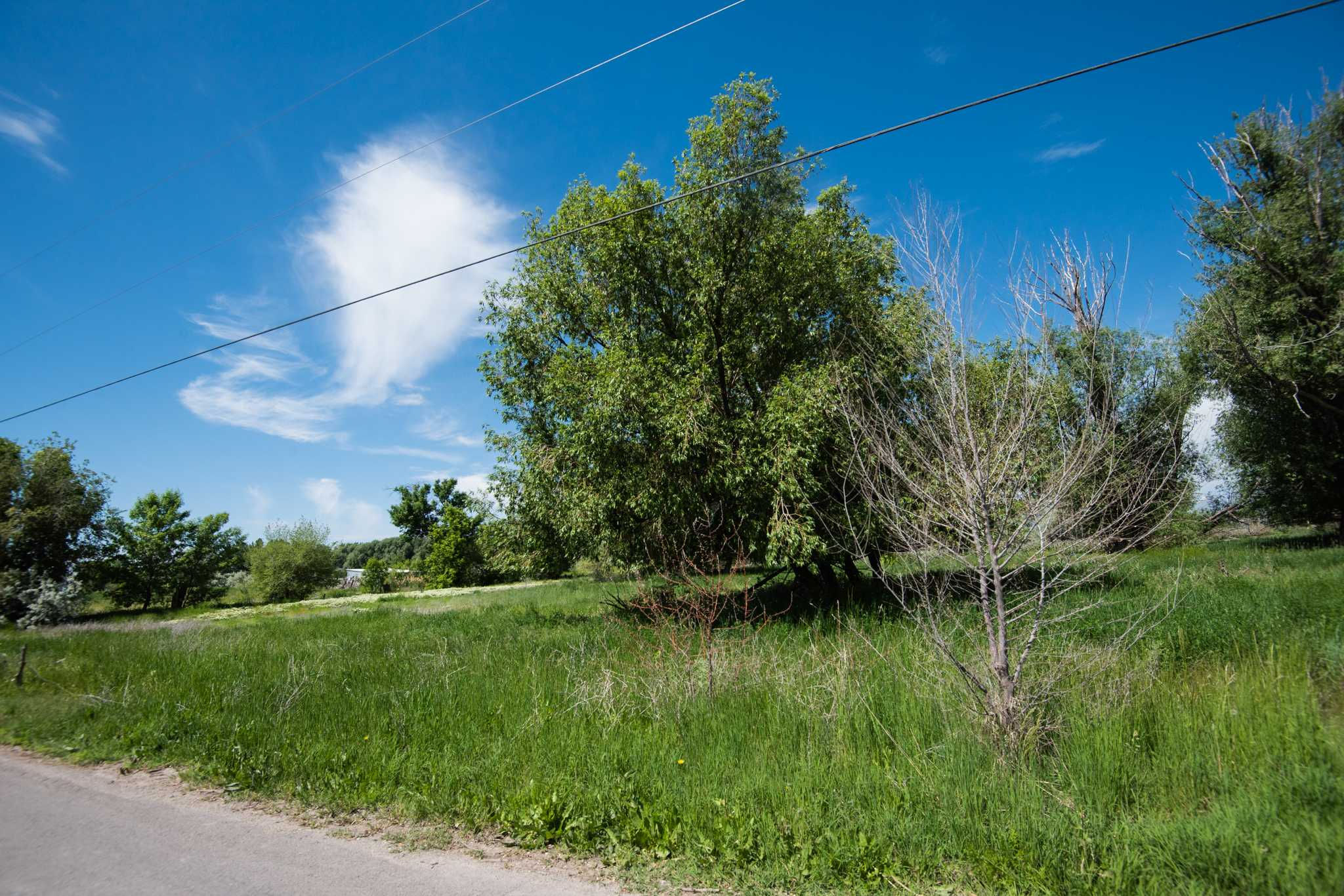 6595 North 6000 West, Highland, UT, USA, 84003 - Thumbnail 3