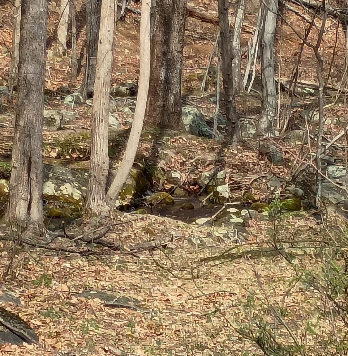 1081 Stoney Way Bedford, VA 24523 - Thumbnail 3