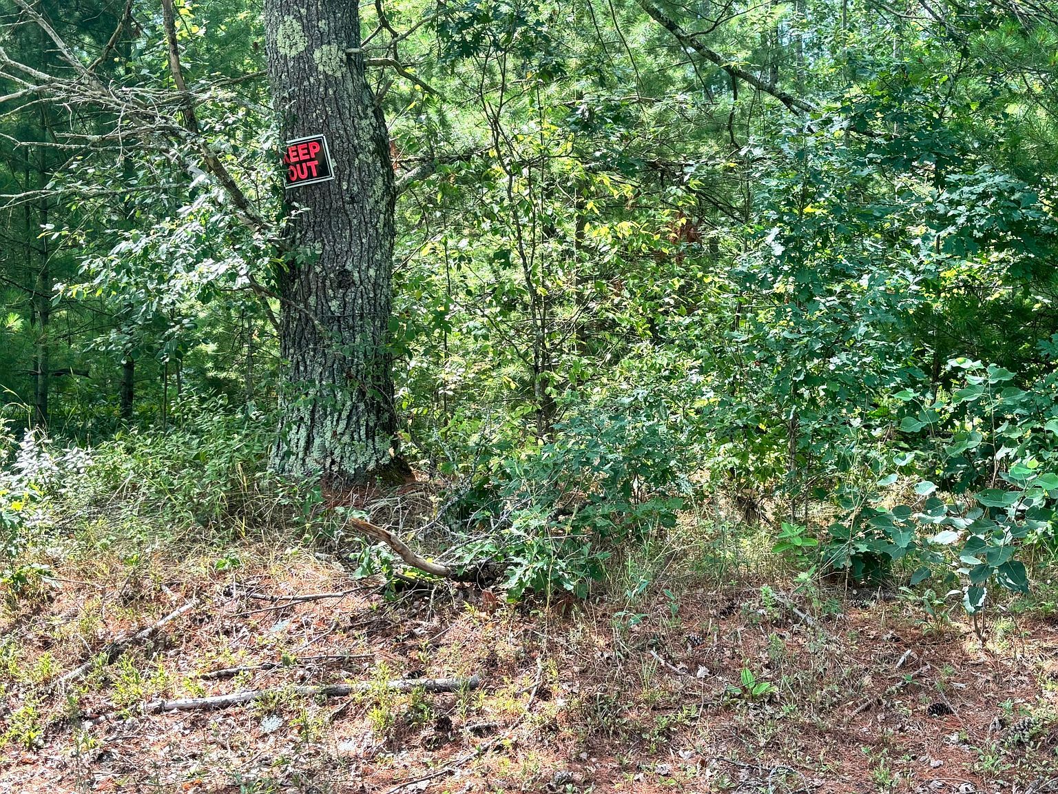 8283 S Harperwoods St #3 Idlewild, MI 49642 - Thumbnail 3