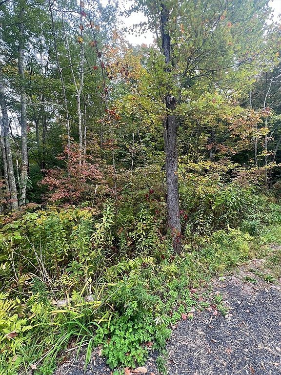 0 Allen Rd Belchertown, MA 01007 - Thumbnail 3