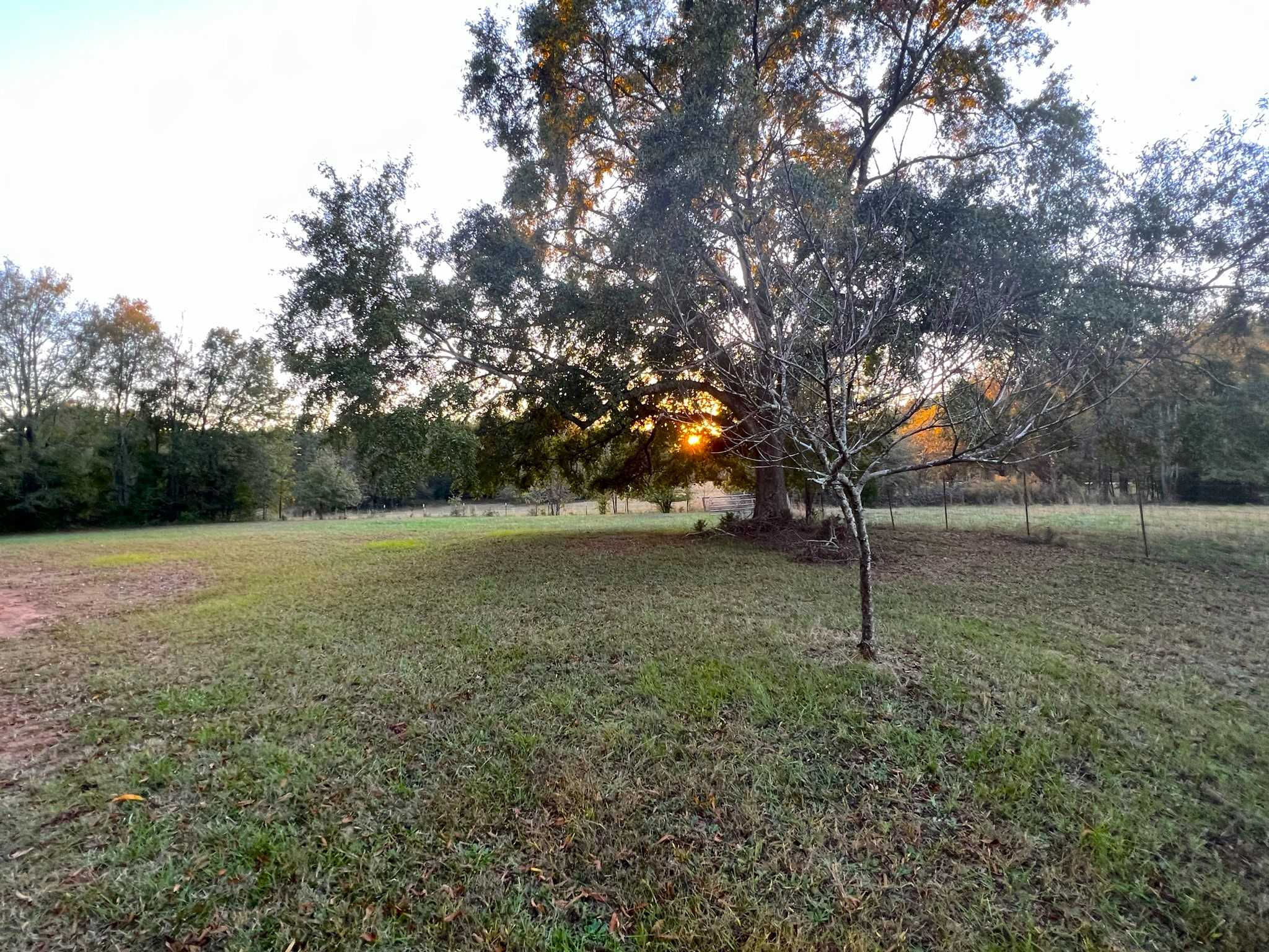 455 Pleasant Valley Road Northeast, Monroe, GA, USA, 30655 - Thumbnail 4