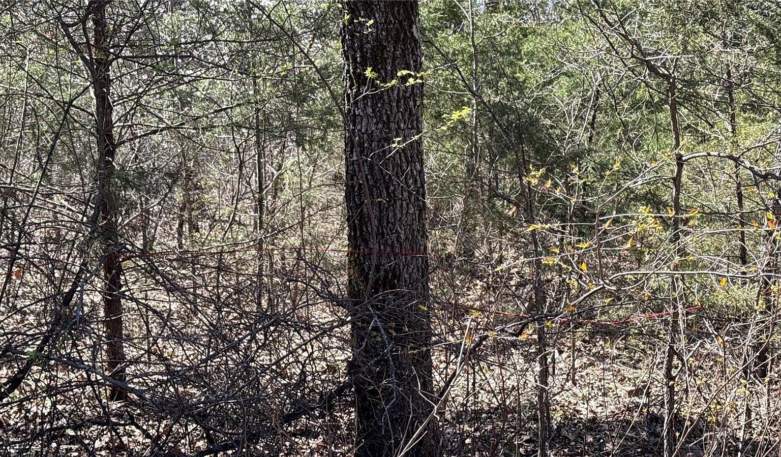 0 Holiday Shores Dr Bismarck, MO 63624 - Thumbnail 3