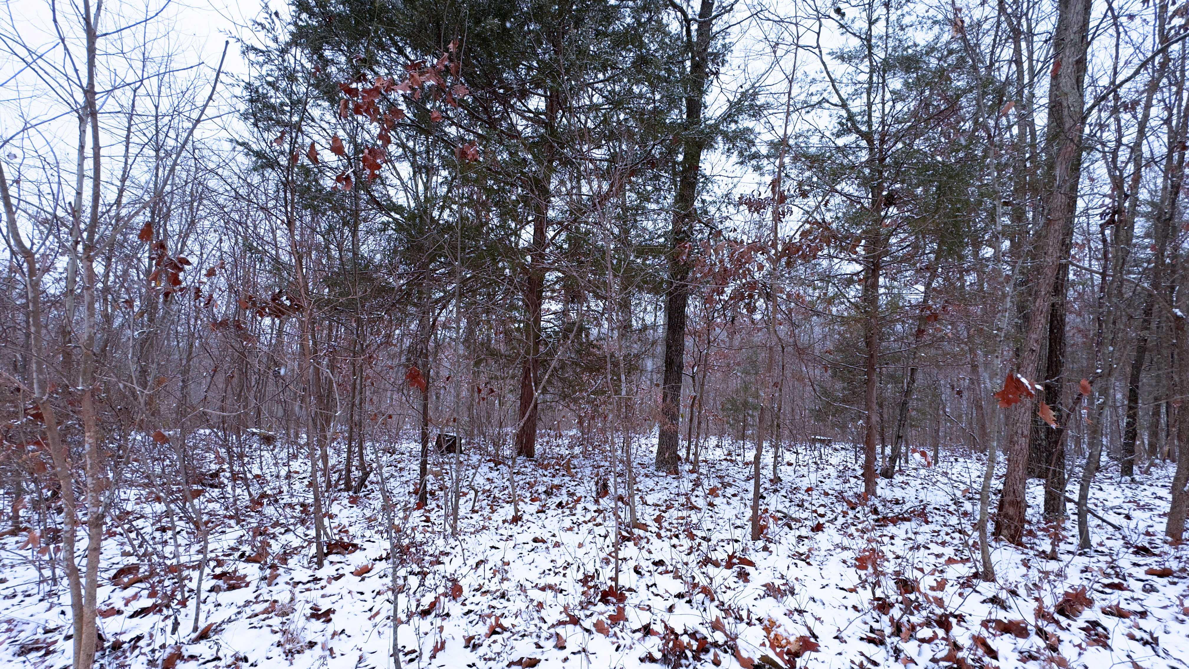 Foxtrot Road, Cadet, MO, 63630 - Thumbnail 4