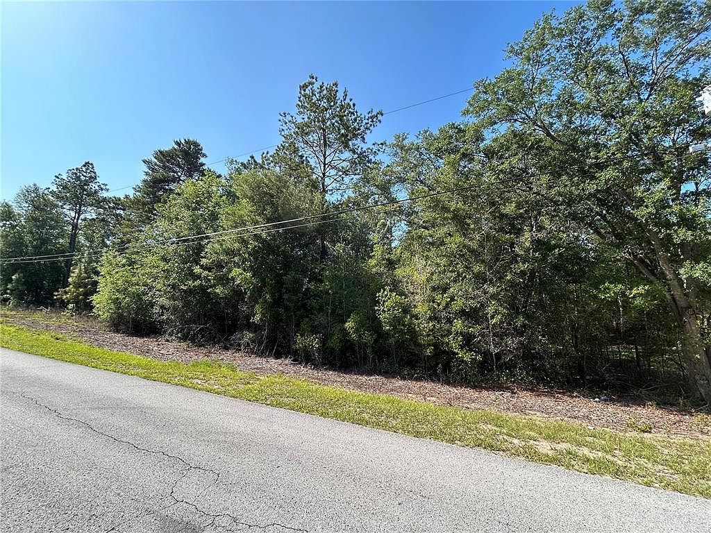 SW Audubon Ave LOT 35 Dunnellon, FL 34431 - Thumbnail 3