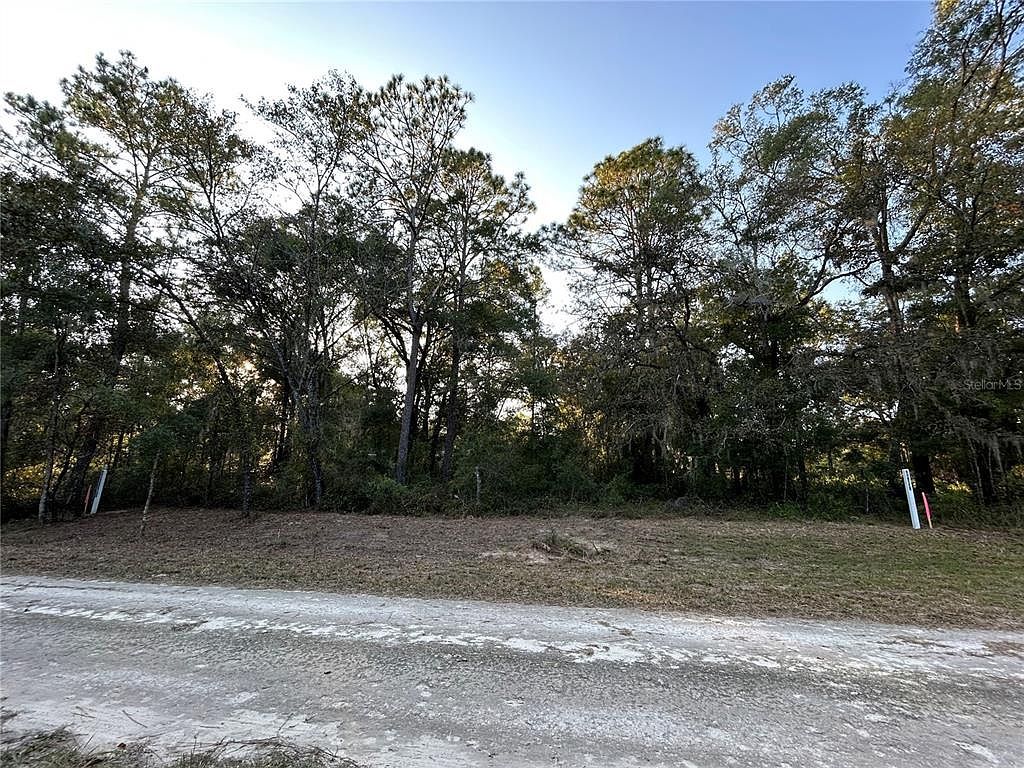 NE 155th Ct LOT 2 Williston, FL 32696 - Thumbnail 3