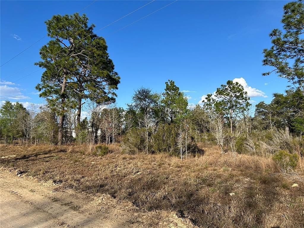 1091 NE 127th Ct #7 Williston, FL 32696 - Thumbnail 3