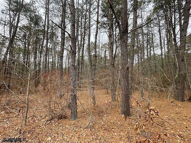 Perry St Buena, NJ 08310  | Land/Lot