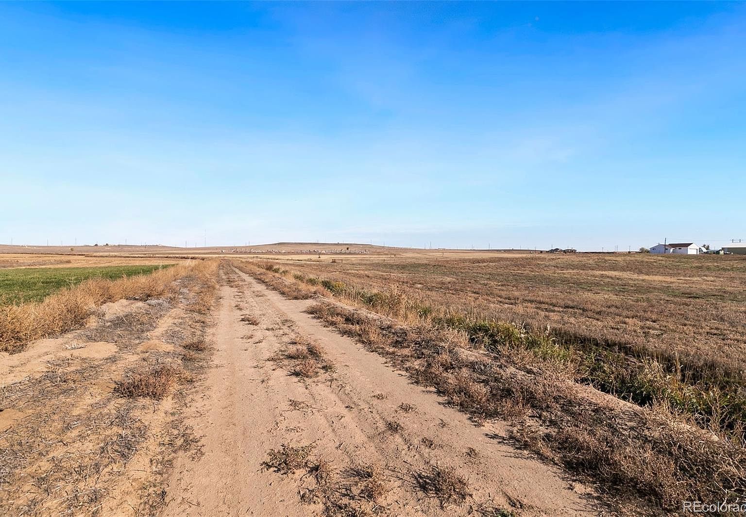 15087 County Road 8 Fort Lupton, CO 80621 - Thumbnail 3