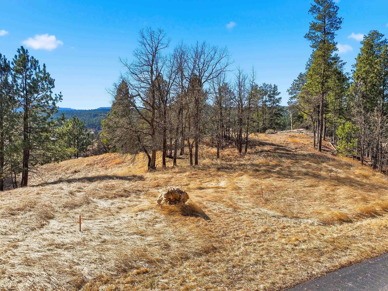 LOT 6A Wildberger Rd Sturgis, SD 57785 - Thumbnail 3