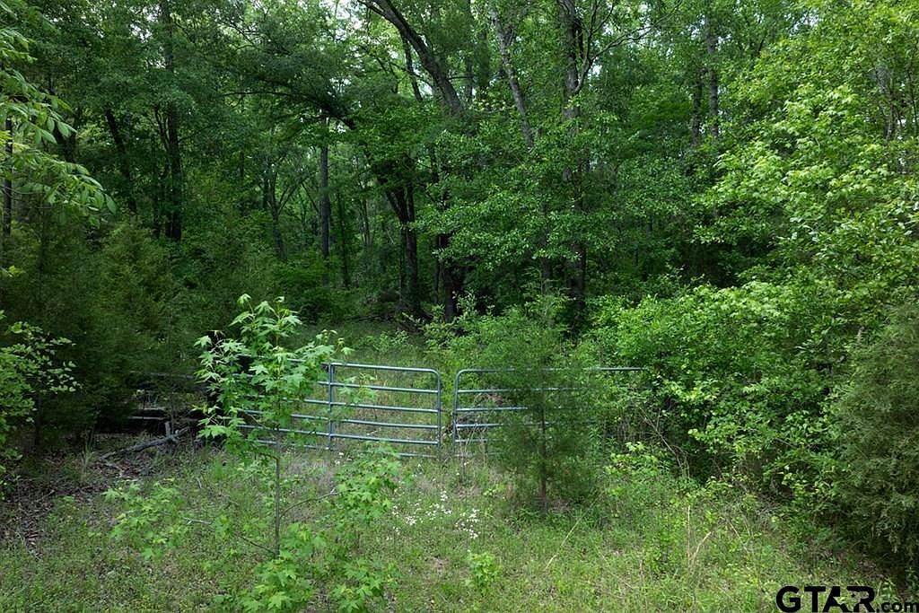 4605 County Road 3800 Athens, TX 75752 - Thumbnail 3