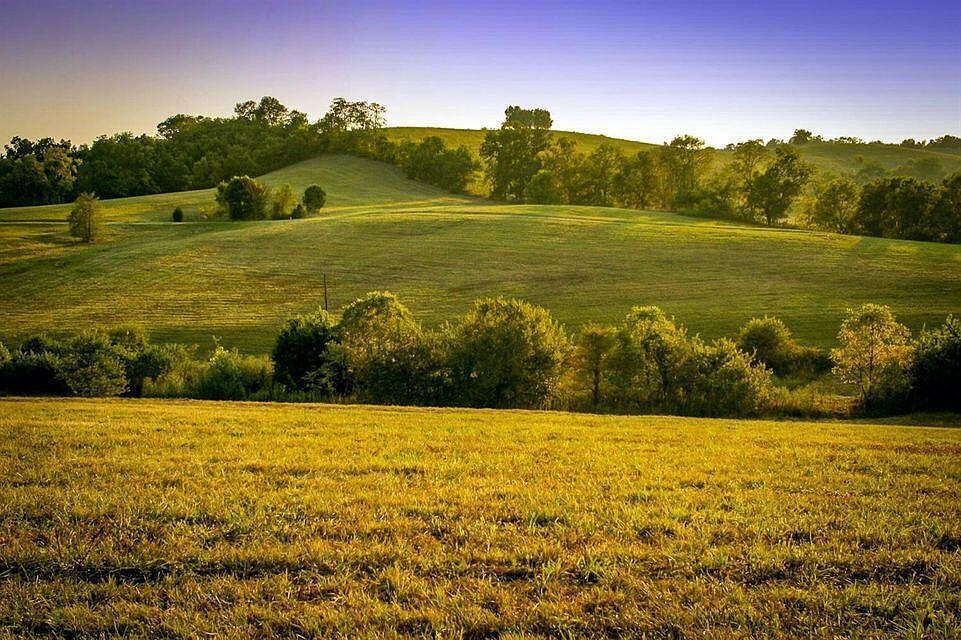 0 Deer Chase Rd Tract 16 Stanford, KY 40484 - Thumbnail 3