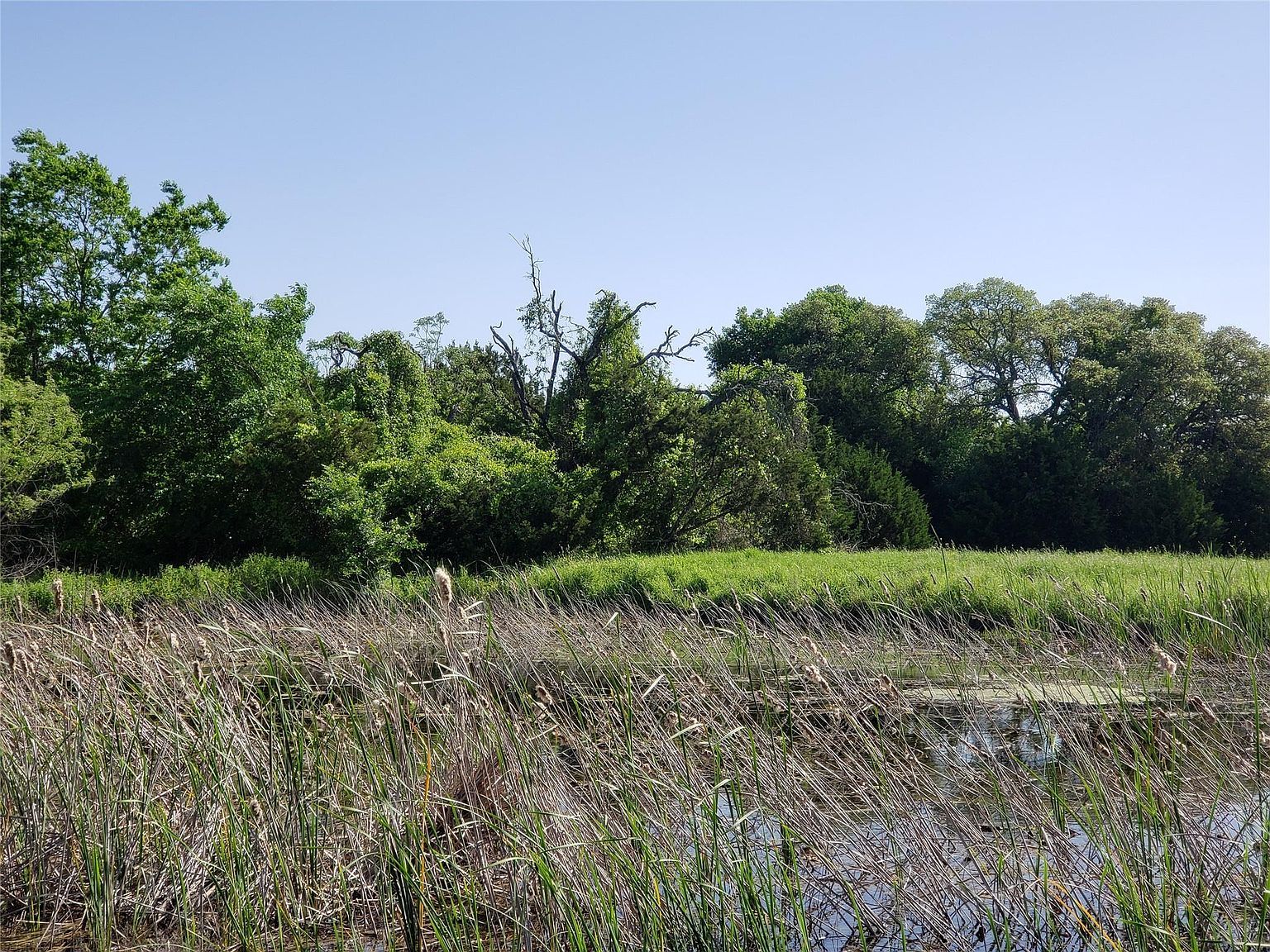 200 Christine Ln, Liberty Hill, TX, 78642 - Thumbnail 3