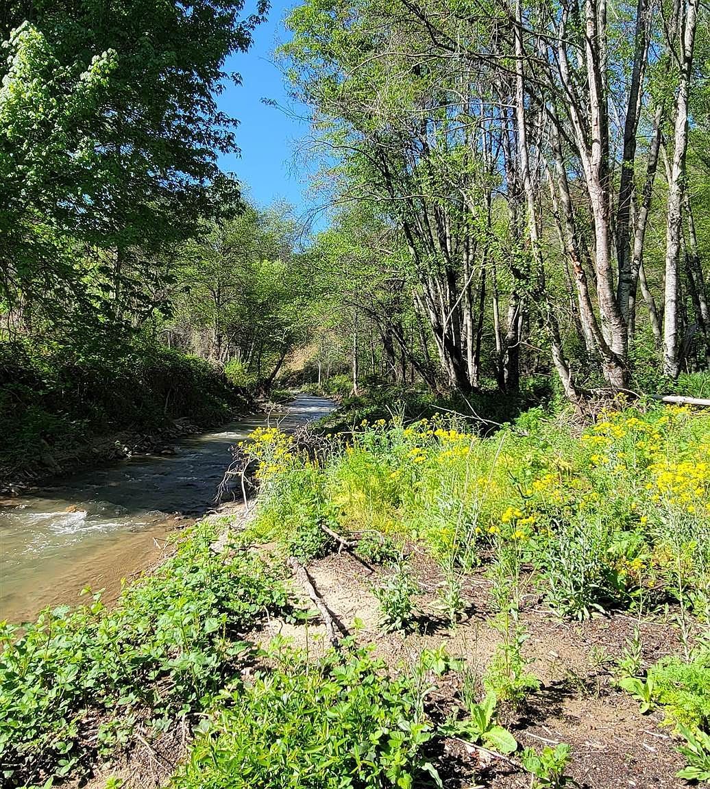 006-350-160 Humbug Creek Rd Yreka, CA 96097 - Thumbnail 3