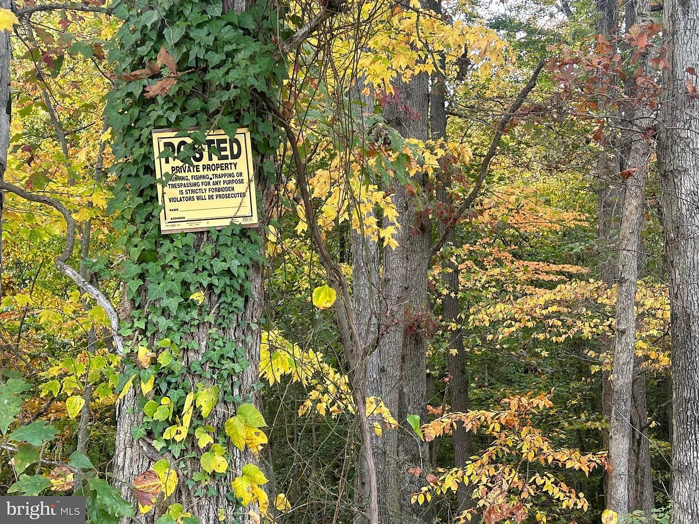 Bock Rd Fort Washington, MD 20744 - Thumbnail 3