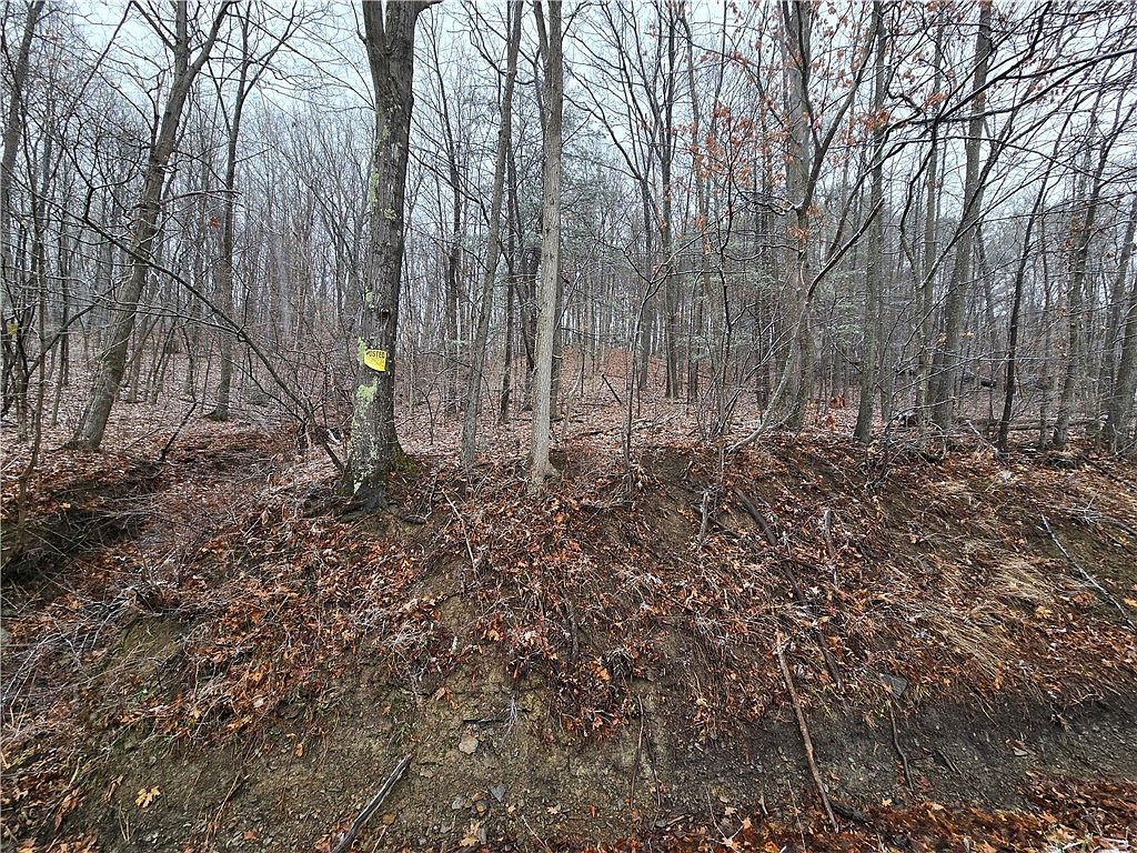 0 Warren Rd #9 Middlesex, NY 14507 - Thumbnail 3